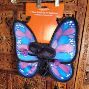 Butterfly Wings and Antenna Dog Costume, Size Medium